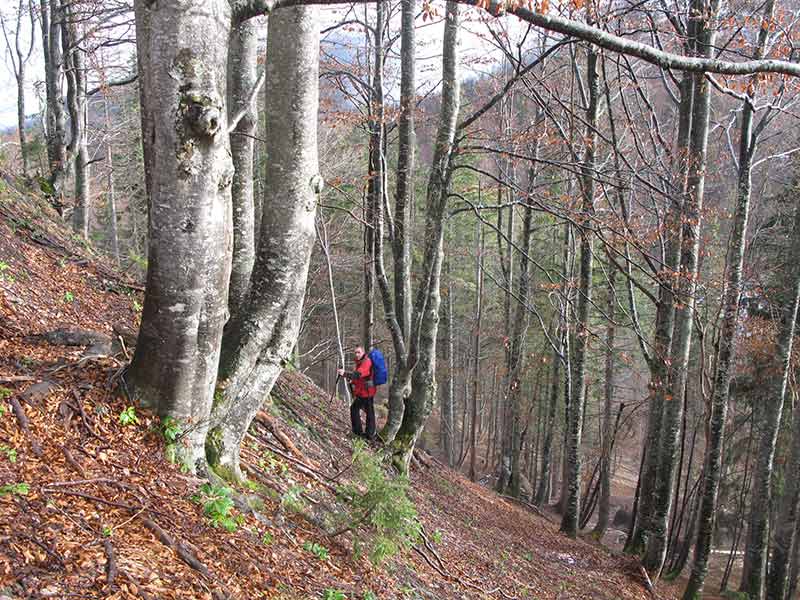 siebenkogel